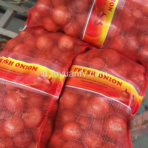 Bawang Gansu 2019 dengan harga bagus